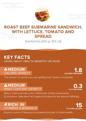 Roast beef submarine sandwich, with lettuce, tomato and spread