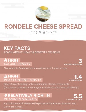 Rondele Cheese Spread