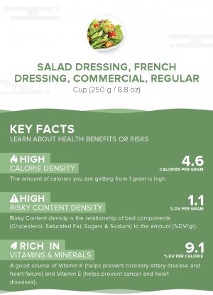 Salad dressing, french dressing, commercial, regular