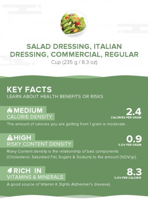 Salad dressing, italian dressing, commercial, regular