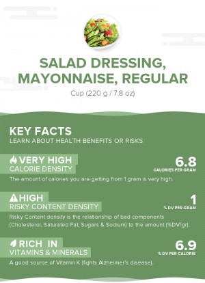 Salad dressing, mayonnaise, regular