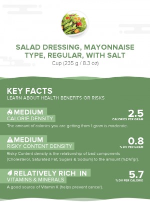Salad dressing, mayonnaise type, regular, with salt