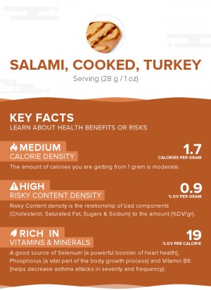 Salami, cooked, turkey