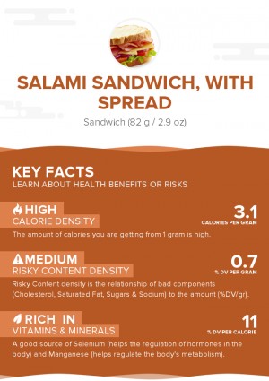 Salami sandwich, with spread