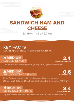 Sandwich Ham and Cheese