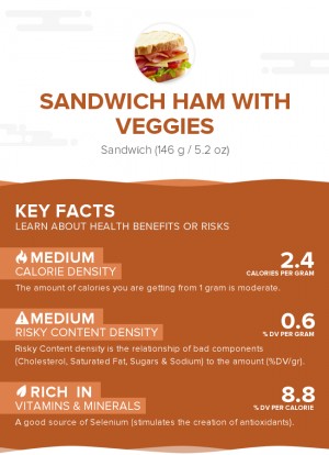 Sandwich Ham with Veggies