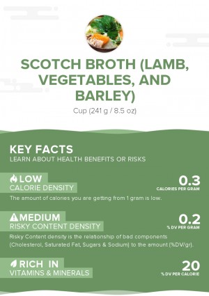 Scotch broth (lamb, vegetables, and barley)