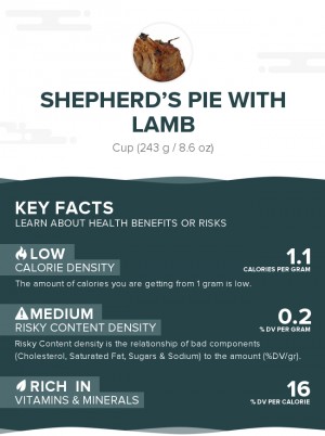 Shepherd's pie with lamb
