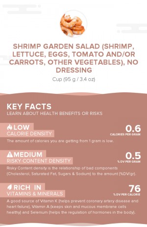 Shrimp garden salad (shrimp, lettuce, eggs, tomato and/or carrots, other vegetables), no dressing
