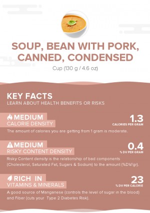 Soup, bean with pork, canned, condensed