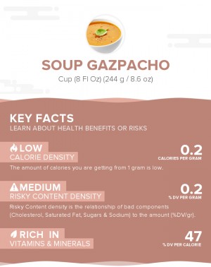 Soup Gazpacho