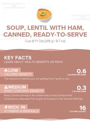 Soup, lentil with ham, canned, ready-to-serve