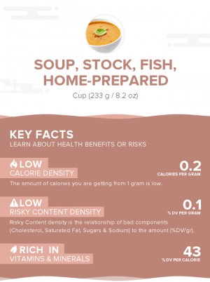 Soup, stock, fish, home-prepared