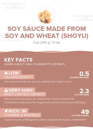 Soy sauce made from soy and wheat (shoyu)