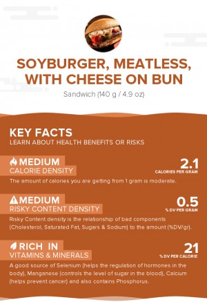 Soyburger, meatless, with cheese on bun