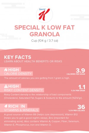 Special K Low Fat Granola