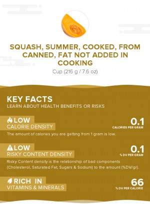 Squash, summer, cooked, from canned, fat not added in cooking