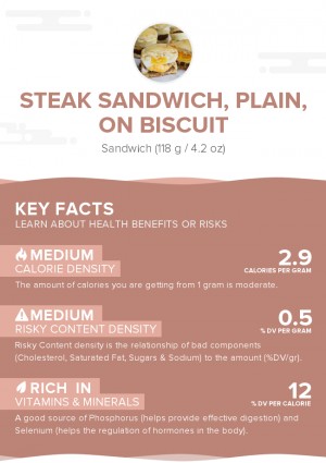 Steak sandwich, plain, on biscuit