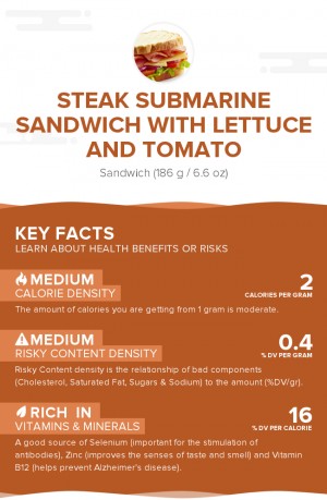 Steak submarine sandwich with lettuce and tomato