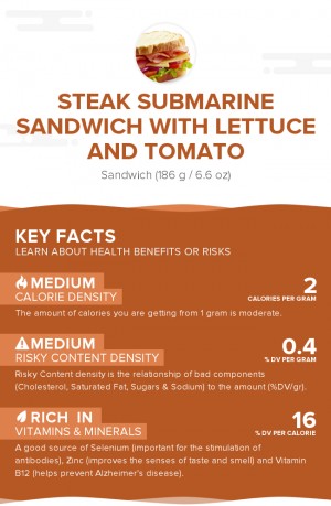 Steak submarine sandwich with lettuce and tomato