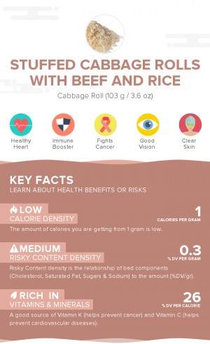 Stuffed cabbage rolls with beef and rice