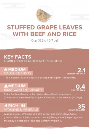 Stuffed grape leaves with beef and rice