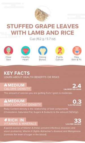 Stuffed grape leaves with lamb and rice