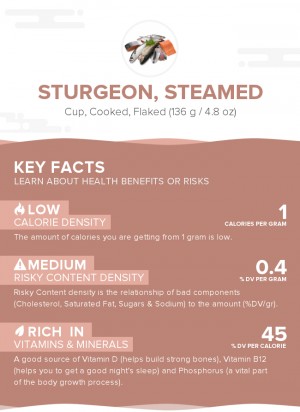 Sturgeon, steamed