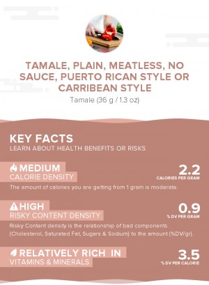 Tamale, plain, meatless, no sauce, Puerto Rican style or Carribean Style