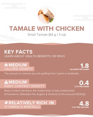 Tamale with chicken