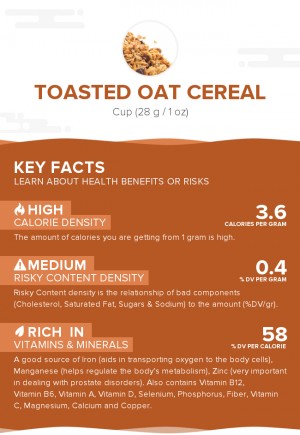 Toasted oat cereal