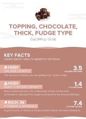Topping, chocolate, thick, fudge type