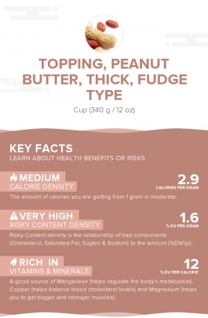 Topping, peanut butter, thick, fudge type