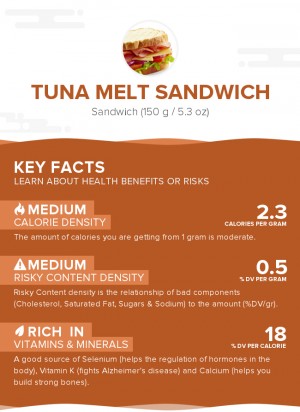 Tuna melt sandwich