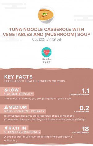 Tuna noodle casserole with vegetables and (mushroom) soup