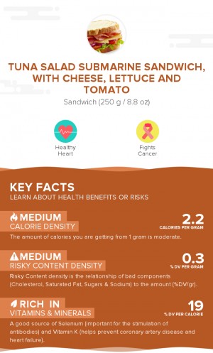 Tuna salad submarine sandwich, with cheese, lettuce and tomato