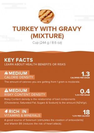 Turkey with gravy (mixture)