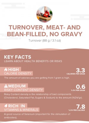 Turnover, meat- and bean-filled, no gravy