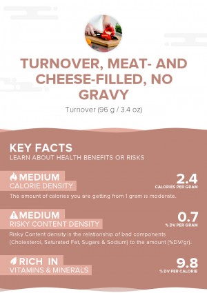Turnover, meat- and cheese-filled, no gravy
