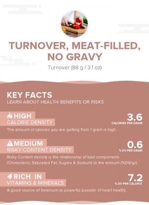 Turnover, meat-filled, no gravy