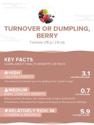 Turnover or dumpling, berry