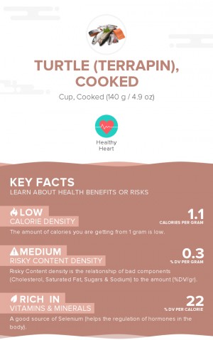 Turtle (terrapin), cooked