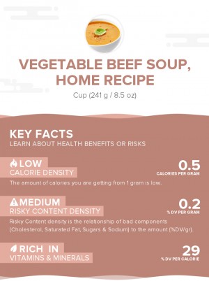 Vegetable beef soup, home recipe