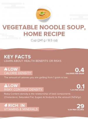 Vegetable noodle soup, home recipe