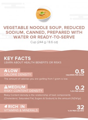 Vegetable noodle soup, reduced sodium, canned, prepared with water or ready-to-serve