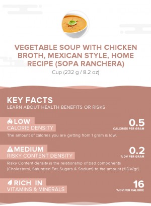 Vegetable soup with chicken broth, Mexican style, home recipe (Sopa Ranchera)