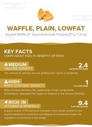 Waffle, plain, lowfat