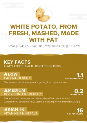 White potato, from fresh, mashed, made with fat