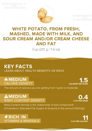 White potato, from fresh, mashed, made with milk, and sour cream and/or cream cheese and fat