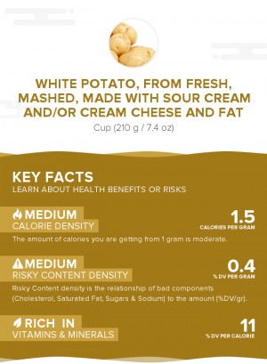 White potato, from fresh, mashed, made with sour cream and/or cream cheese and fat